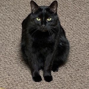 Meet your Posher, Jesse